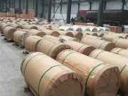 �����X��